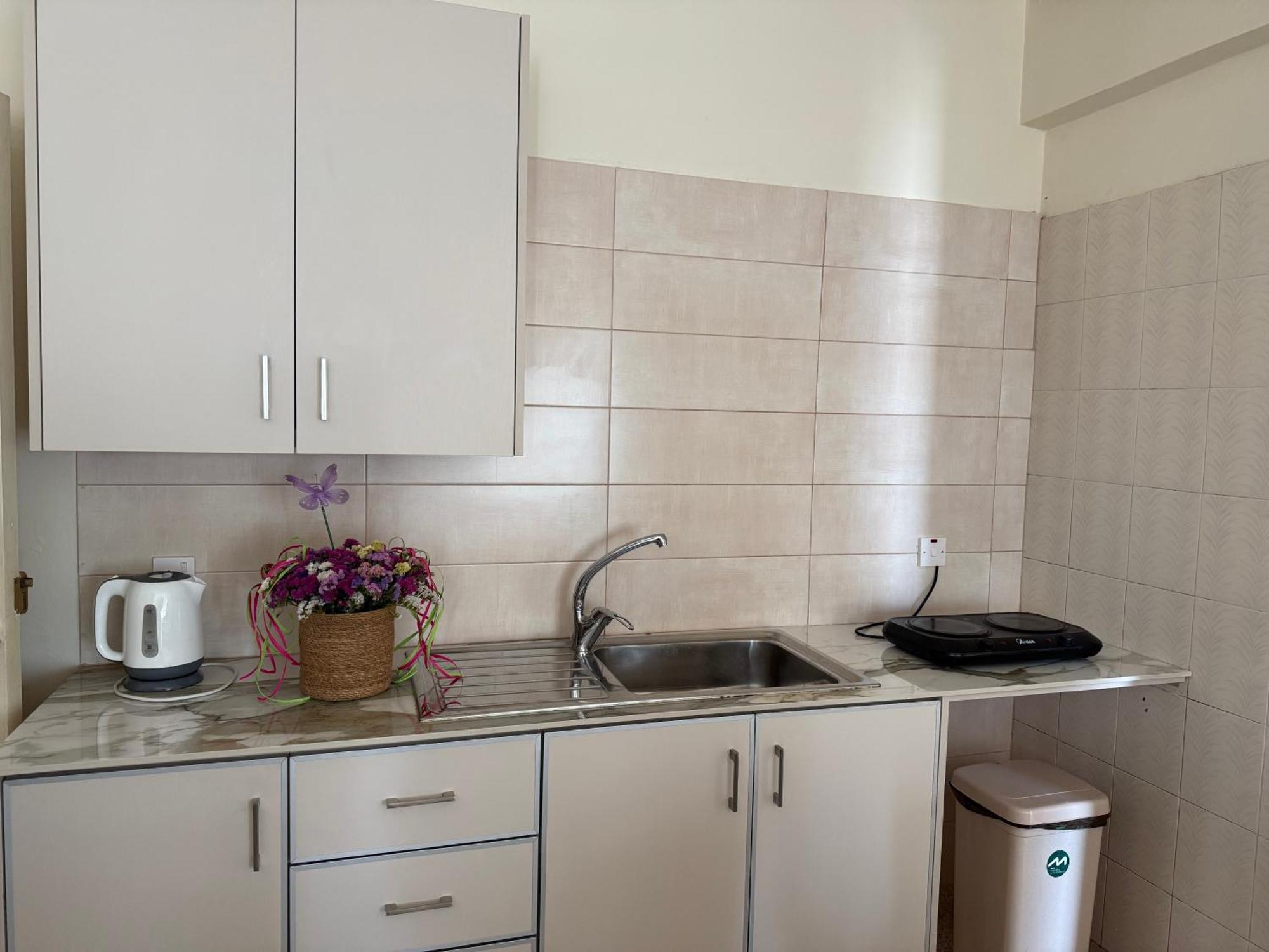 Terpsithea Apartments Айя-Напа Экстерьер фото